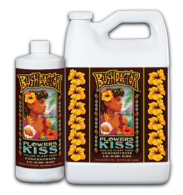 Bush Doctor Flowers Kiss